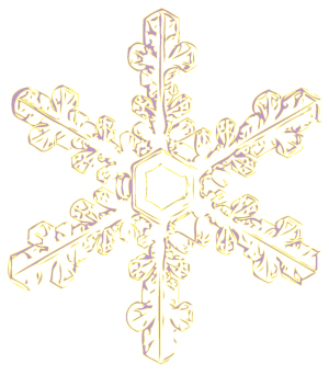 De sneeuwvlok
